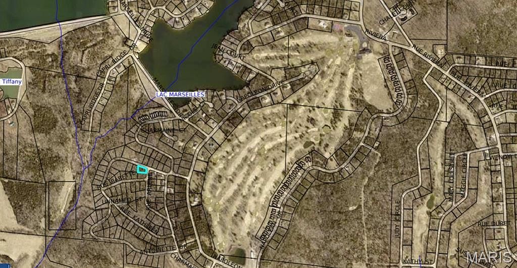 LOT 1 Antoinette Dr Bonne Terre, MO 63628 - Thumbnail 3