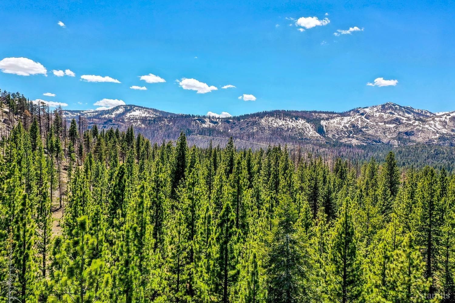 1444 Apache Ave South Lake Tahoe, CA 96150 - Thumbnail 3