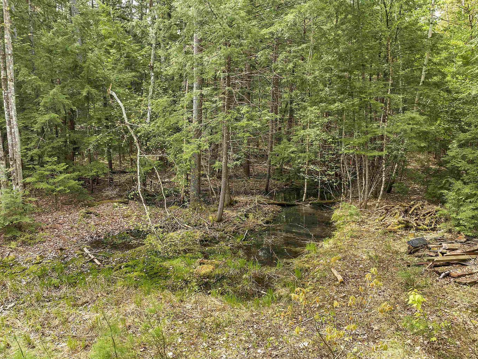 Lots42 43 44 49 G St Conway, NH 03818, Conway, NH, 3818 - Thumbnail 3