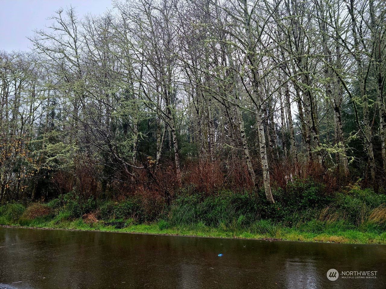 821 Duck Lake Dr NE Ocean Shores, WA 98569 - Thumbnail 3