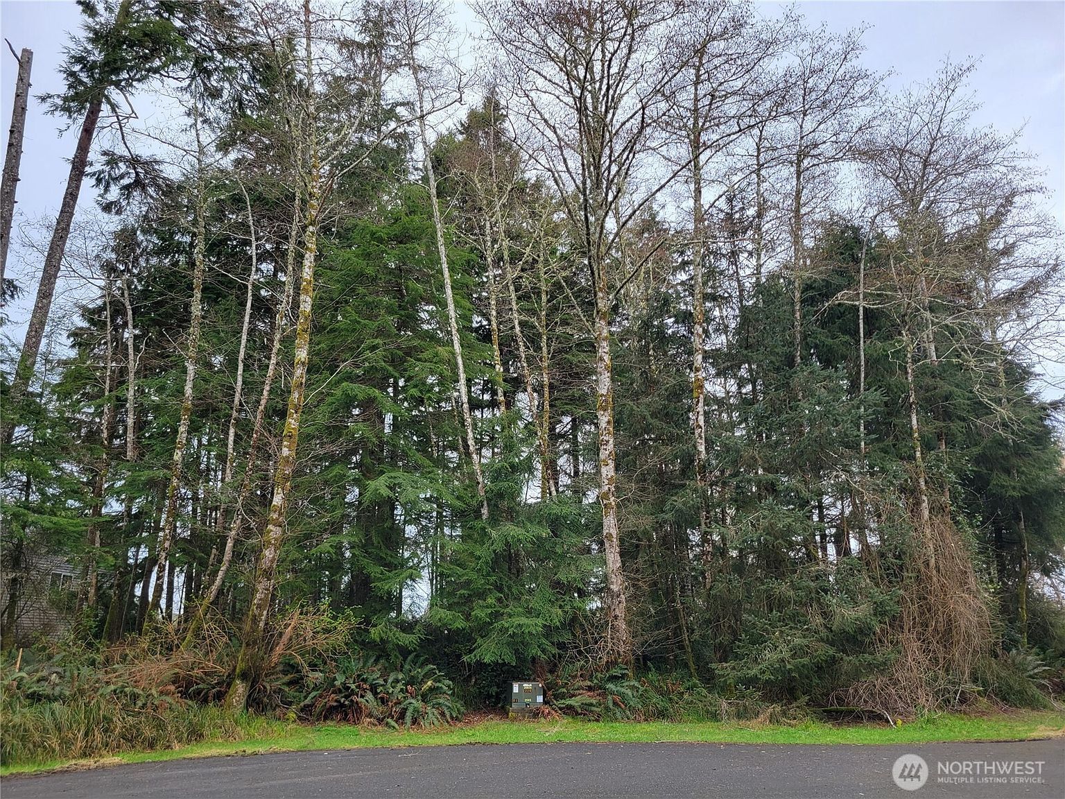 337 Hyde Ct NE Ocean Shores, WA 98569 - Thumbnail 3