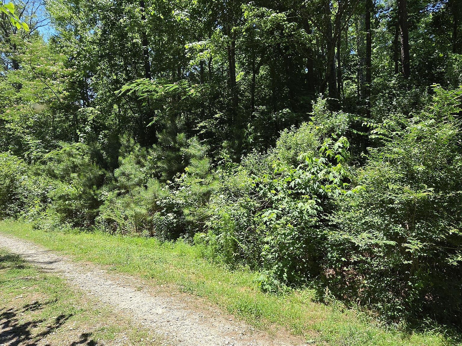 304 Kaw Trl Lot 10&11 Edenton, NC 27932 - Thumbnail 3