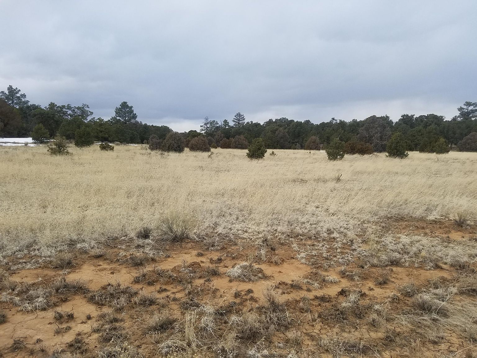 12 N Ranchero Rd #13 Pie Town, NM 87827 - Thumbnail 3