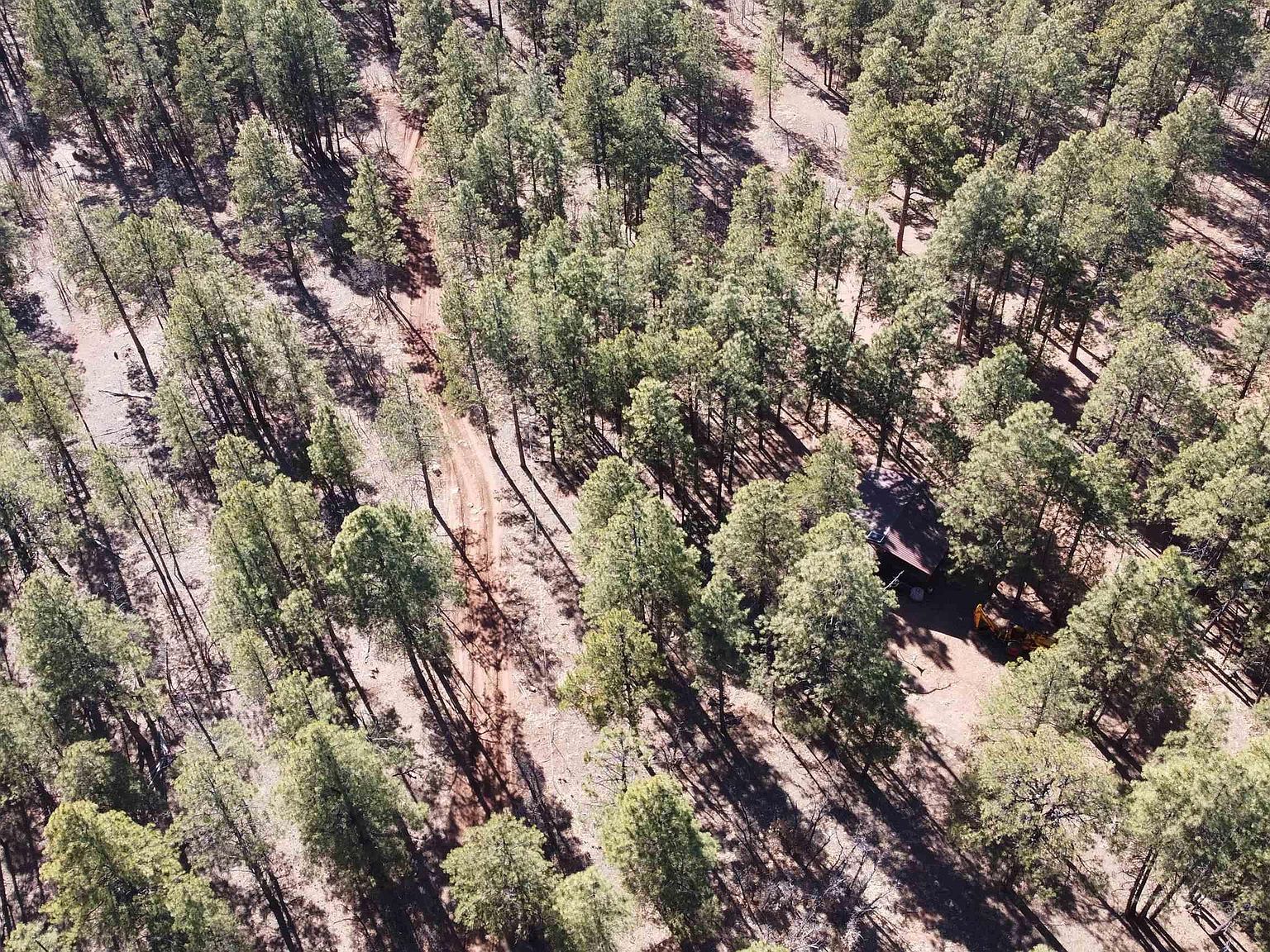 LOT-34C McGaffey Pnes Fort Wingate, NM 87316 - Thumbnail 3