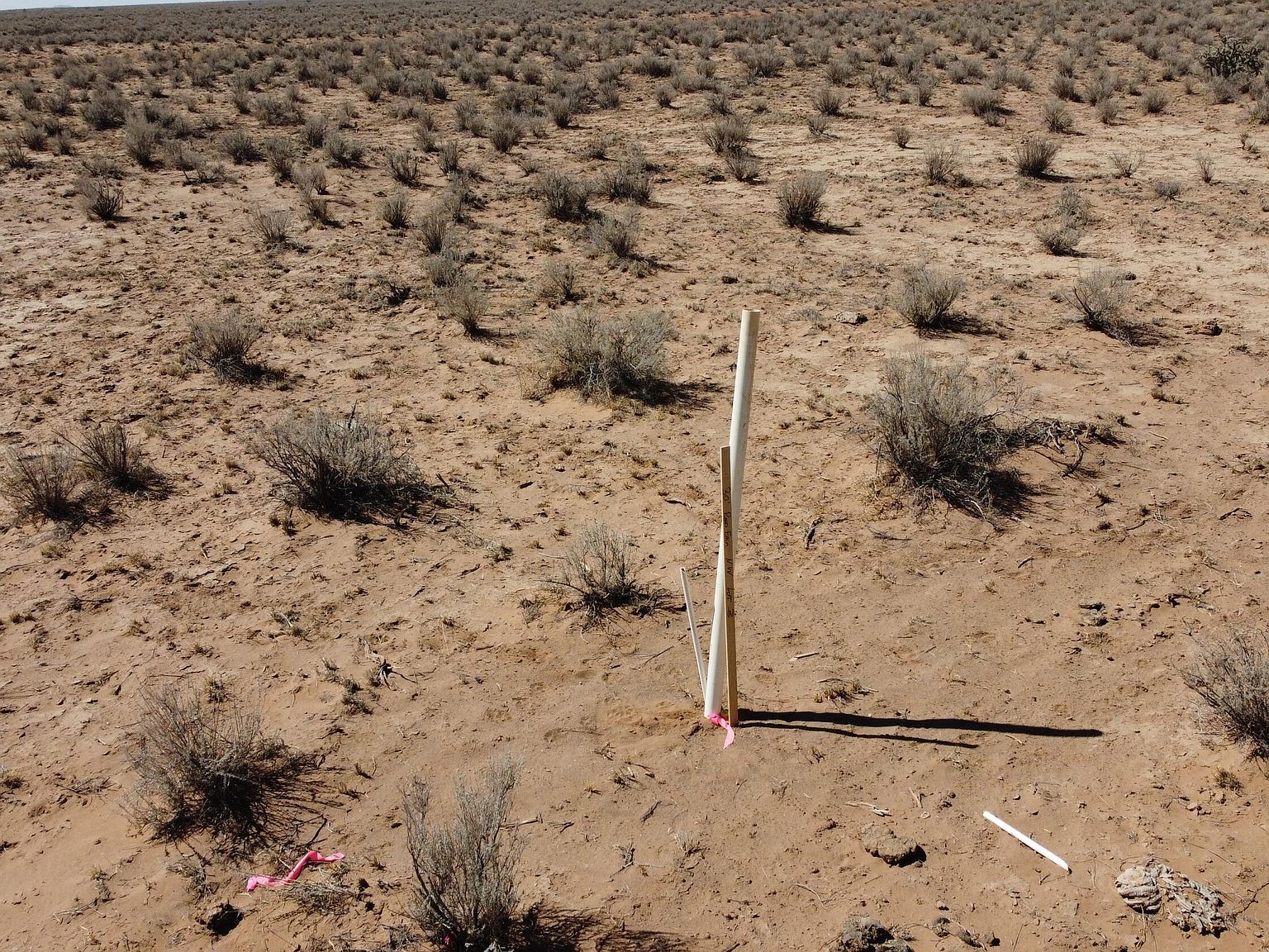 3 18th Los Lunas, NM 87031 - Thumbnail 3