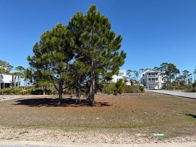 LOT 1 Park Point Cir Pt Saint Joe, FL 32456 - Thumbnail 3