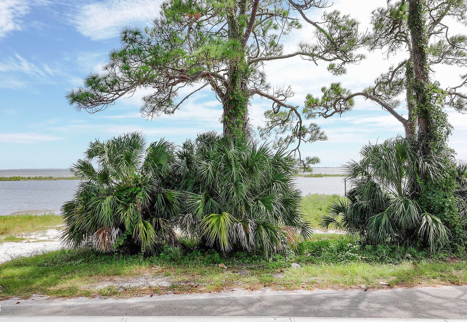 362 Patton Dr Eastpoint, FL 32328 - Thumbnail 3