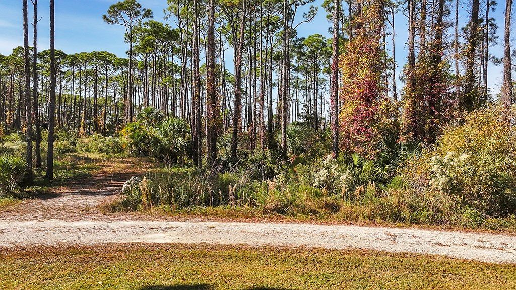 10 Eventide Dr Cape San Blas, FL 32456 - Thumbnail 3
