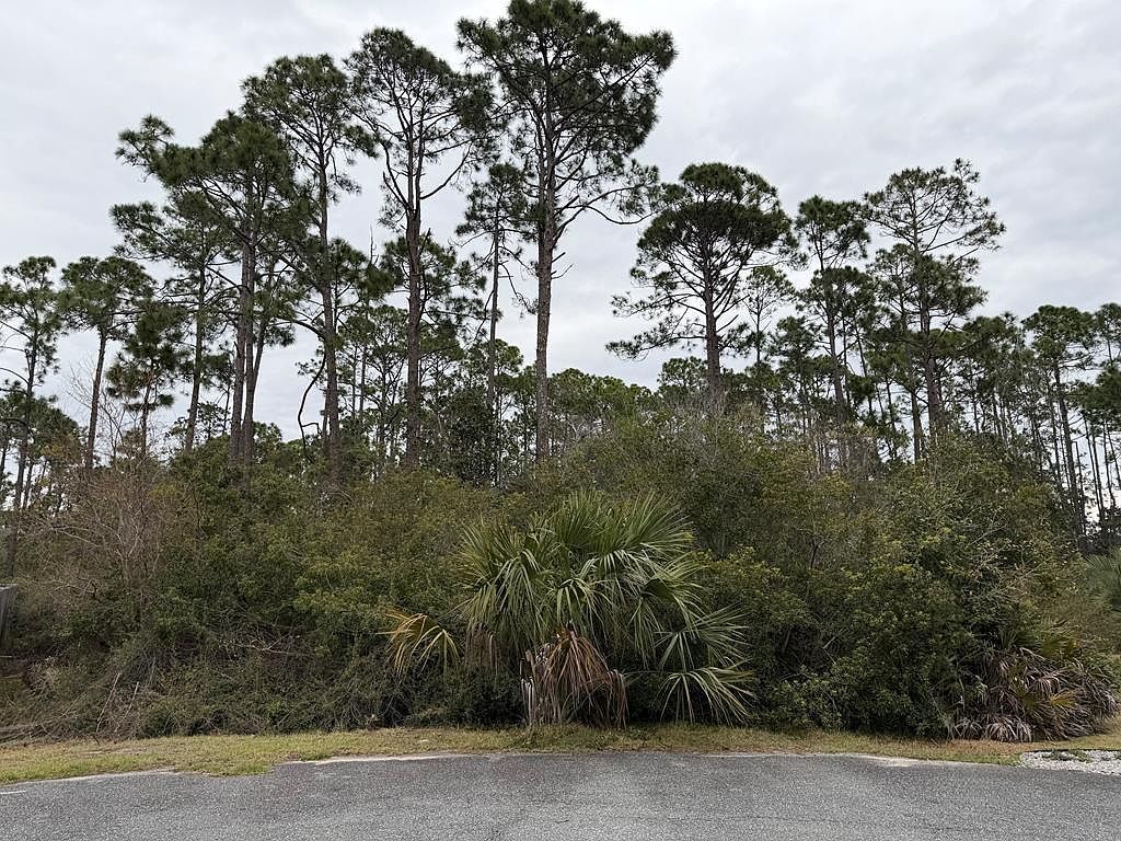 309 Sea Haven Dr Port Saint Joe, FL 32456 - Thumbnail 3