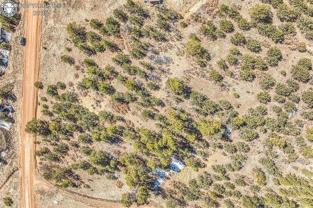 1435 Buttonwood Rd Canon City, CO 81212 - Thumbnail 3