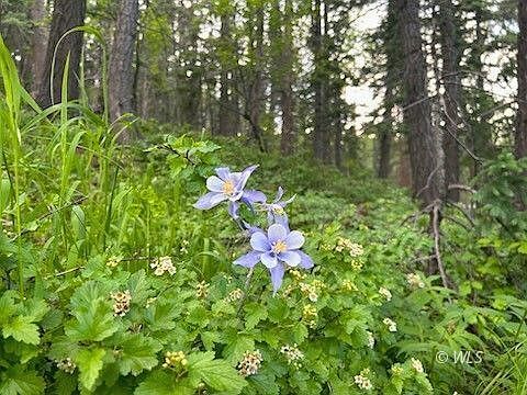 178 Simmons Rd Westcliffe, CO 81069 - Thumbnail 3