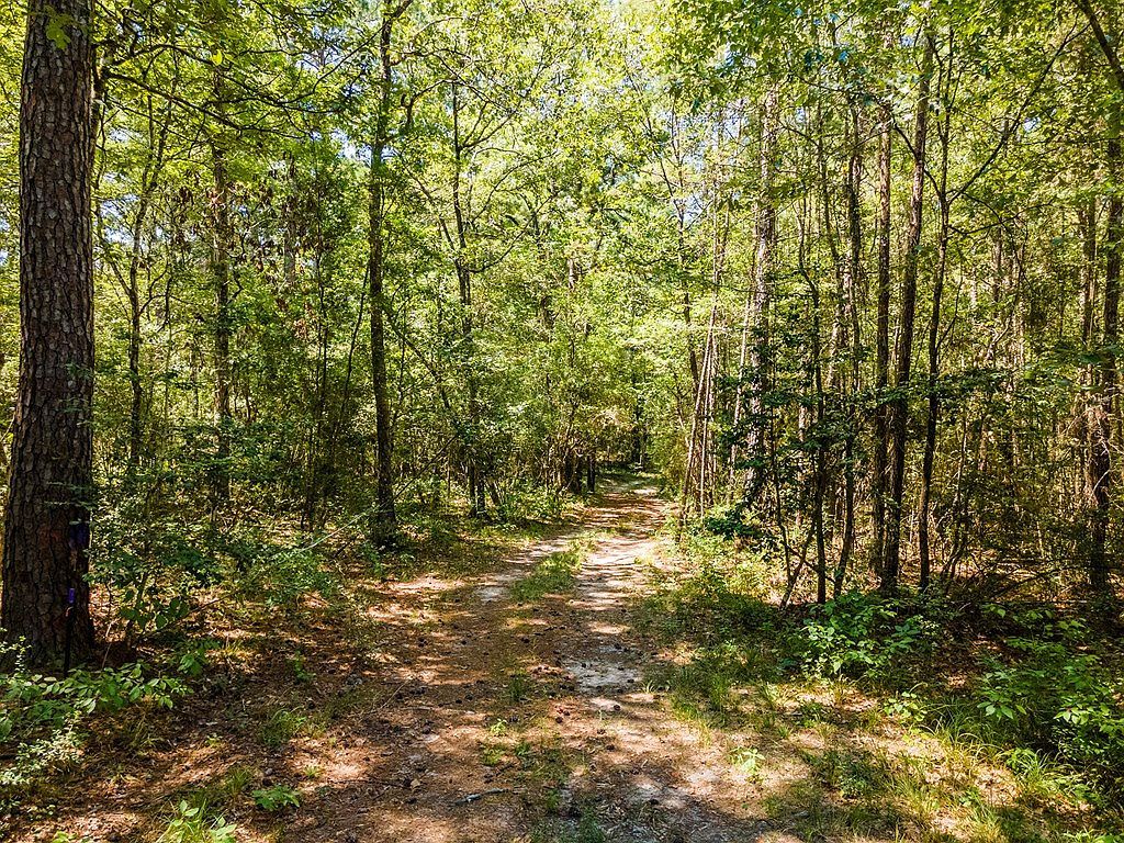 TRACT 4.4 Frazier Rd Zavalla, TX 75980 - Thumbnail 3