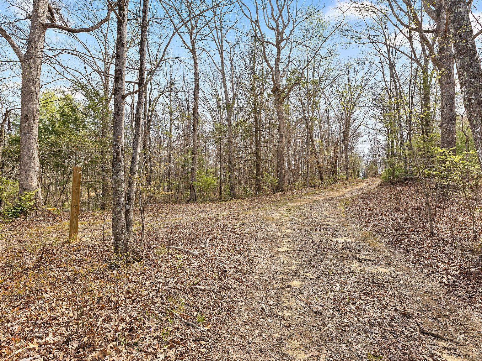 17.65 Blaine Smith Rd Graysville, TN 37338 - Thumbnail 3