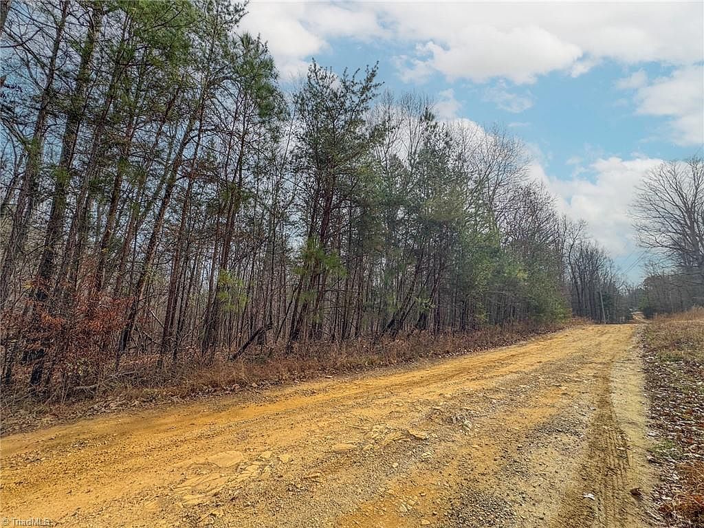 6124 Wild Horse Canyon Rd Snow Camp, NC 27349 - Thumbnail 3