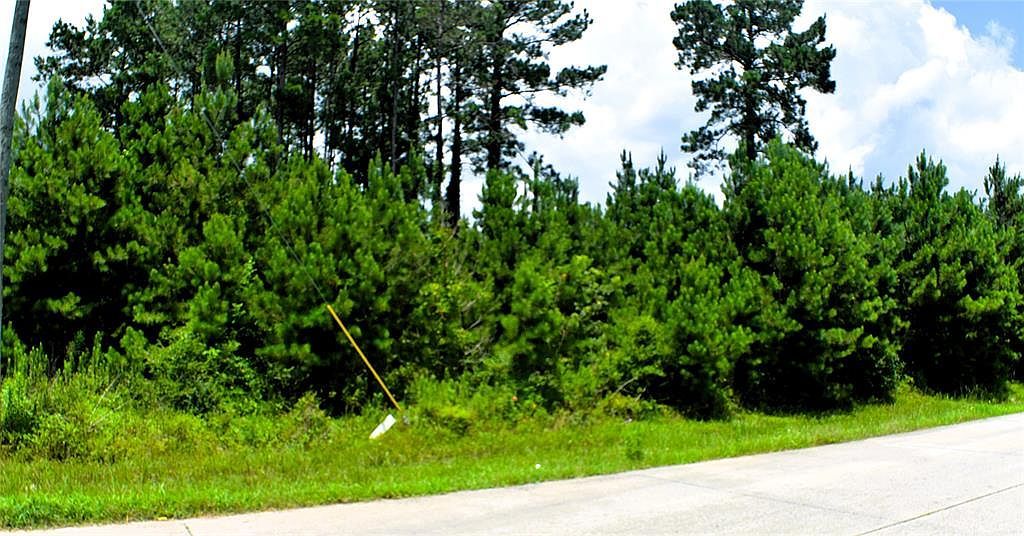 238 County Road 3545 Cleveland, TX 77327 - Thumbnail 3