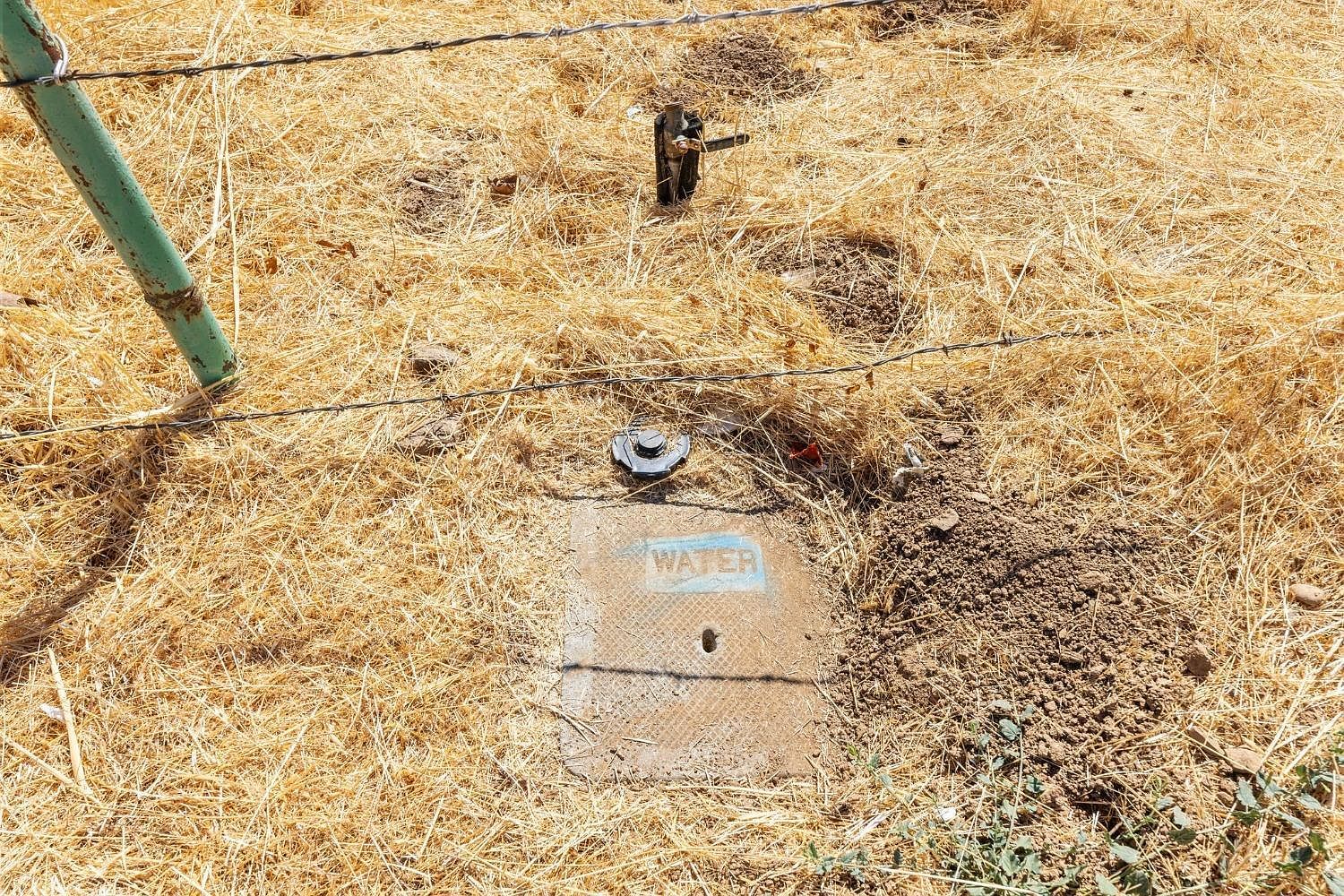 11900 Sutter Hill Rd Sutter Creek, CA 95685 - Thumbnail 3