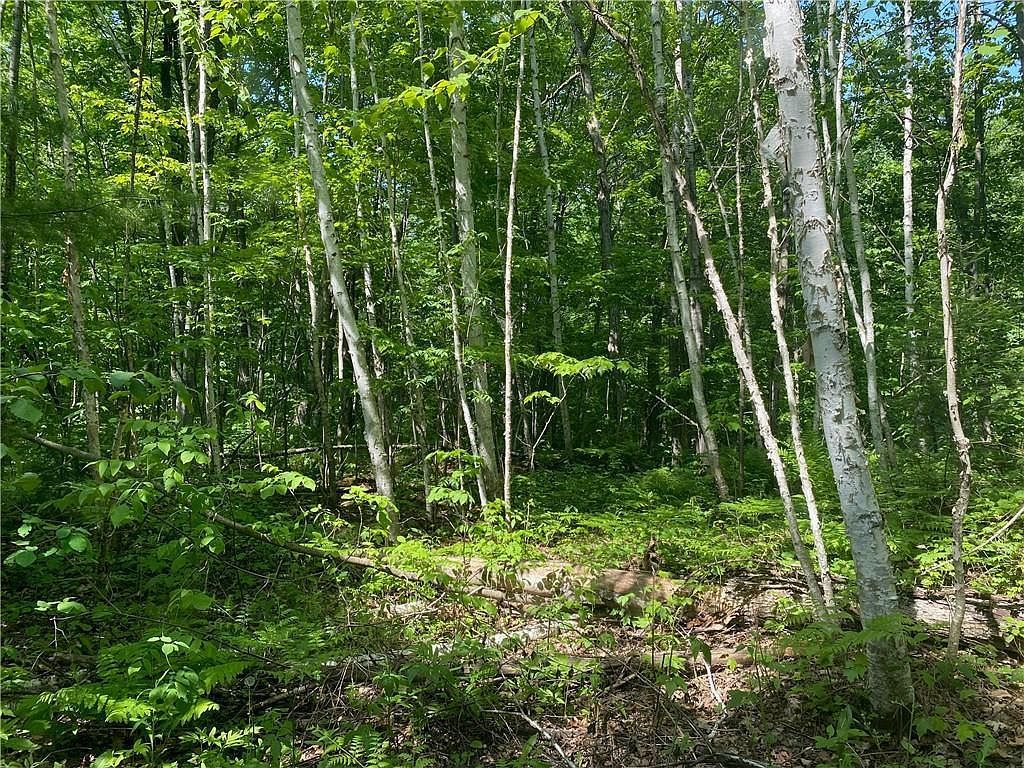 LOT 7 N Secluded Trl Hayward, WI 54843 - Thumbnail 3