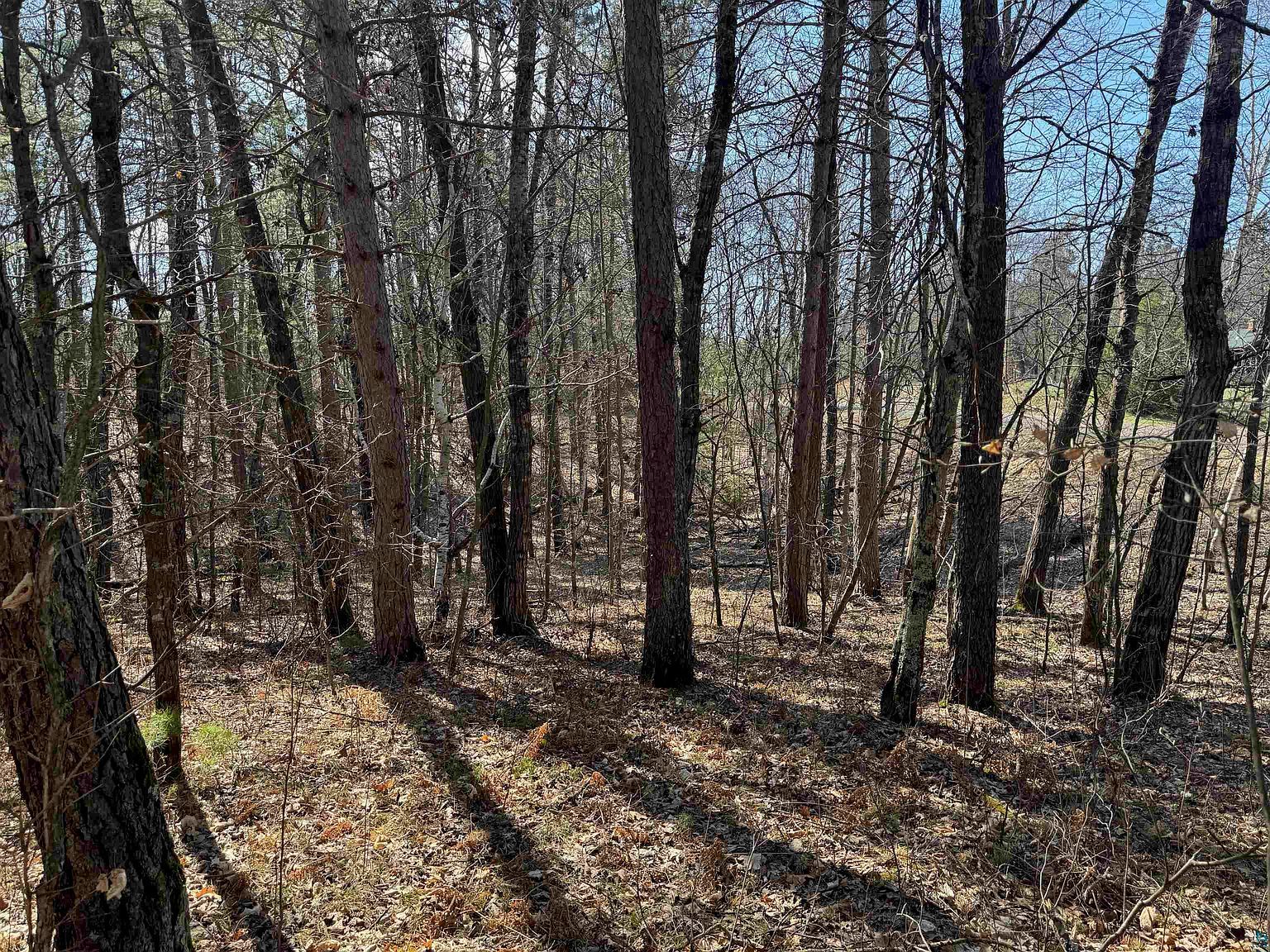 Spring Lake Rd Trego, WI 54888 - Thumbnail 3