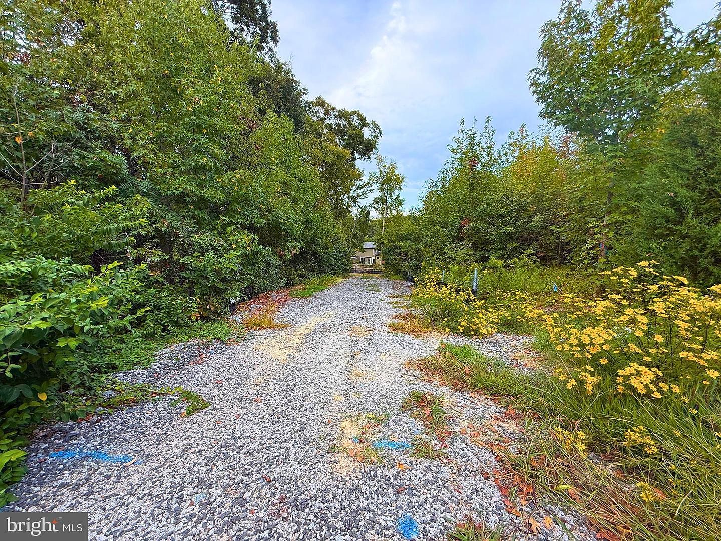 8811 Ox Rd Lorton, VA 22079 - Thumbnail 3