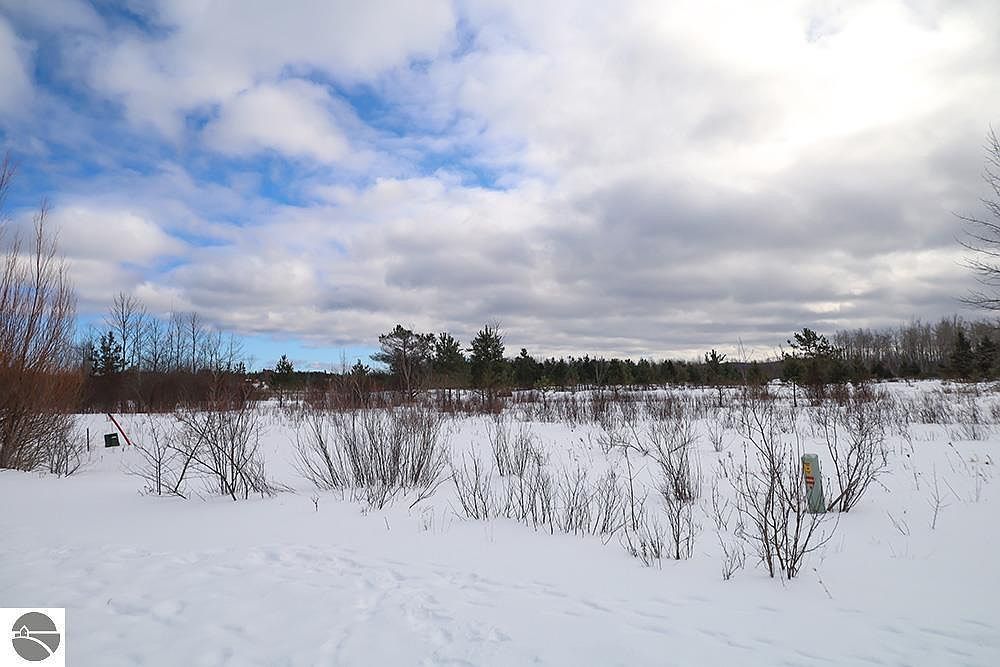 6412 Lora Bette Dr Alanson, MI 49706 - Thumbnail 3