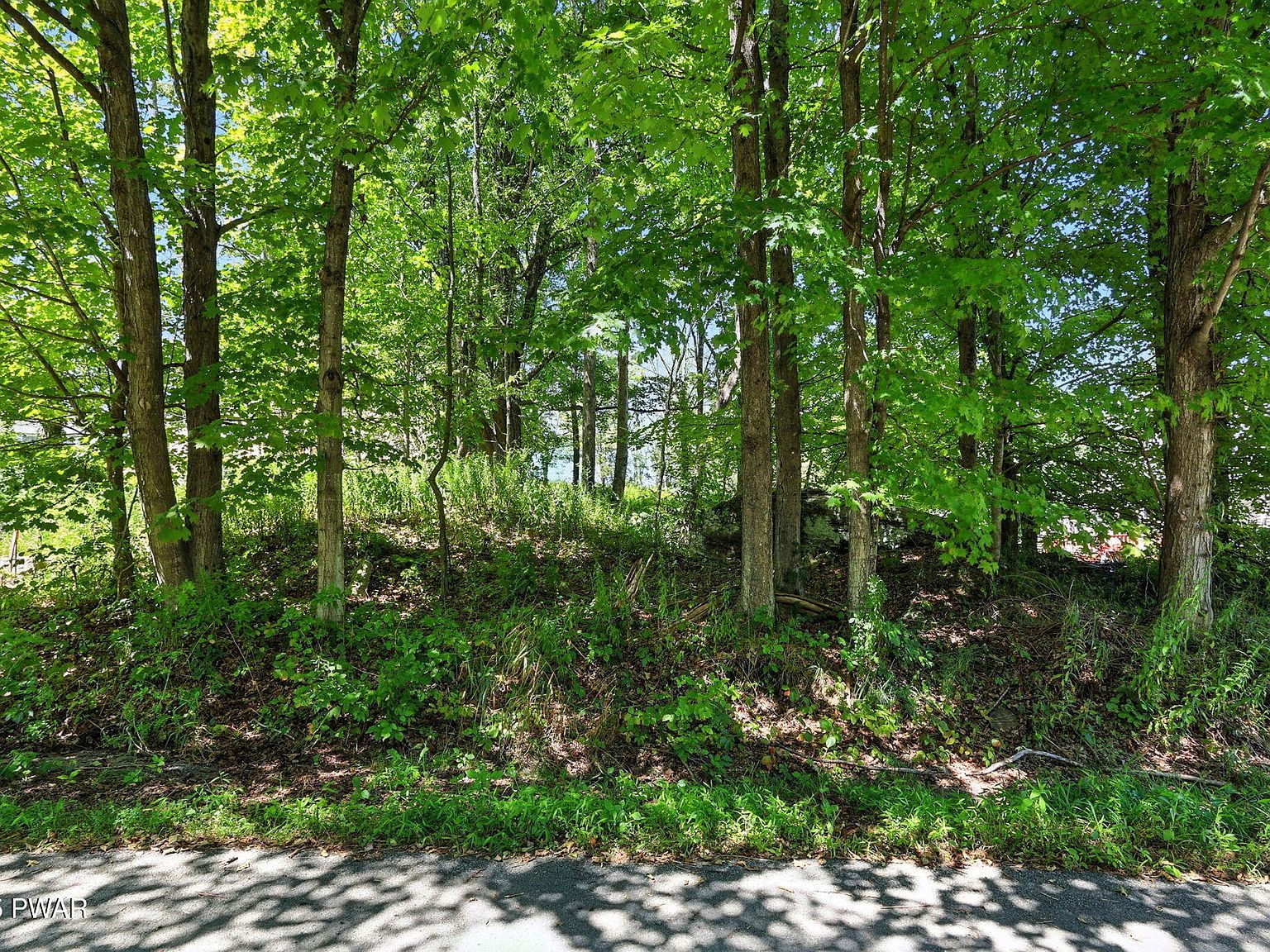 45 Forest Ln Lake Ariel, PA 18436 - Thumbnail 3