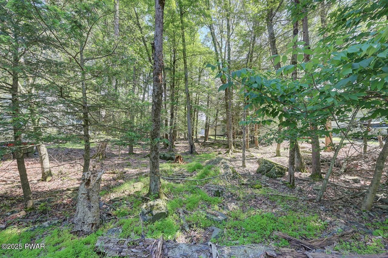 54 Wallenpaupack Dr Lake Ariel, PA 18436 - Thumbnail 3