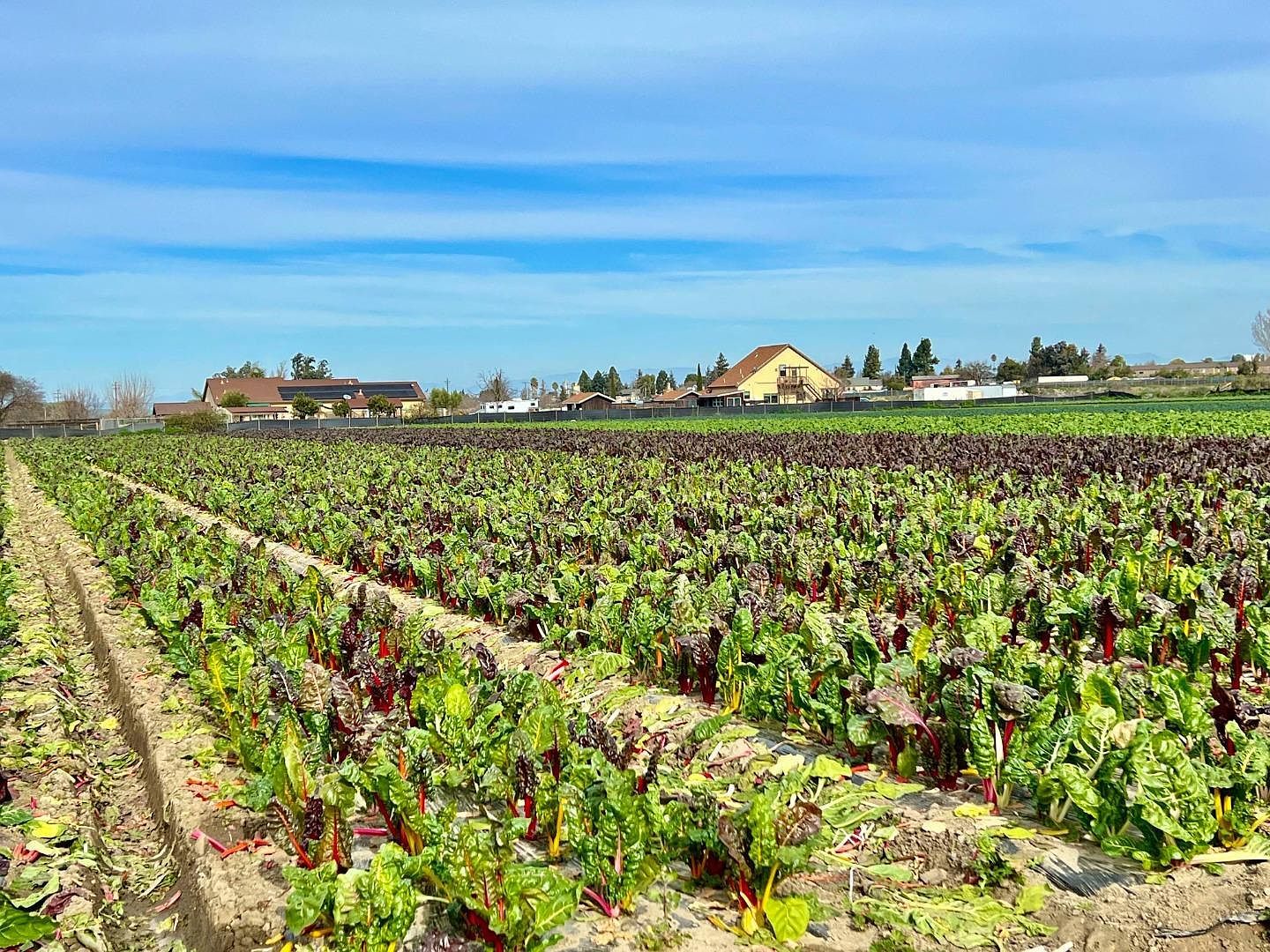 Riverside Hollister, CA 95023 - Thumbnail 3