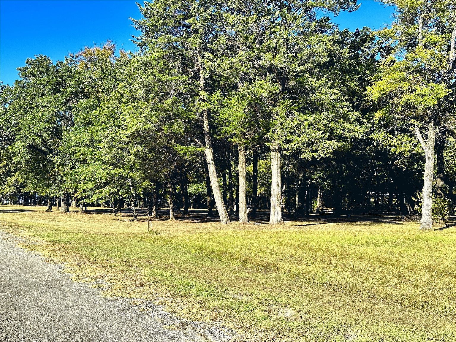 LOT 65 Sombrilla Ln Kerens, TX 75144 - Thumbnail 3