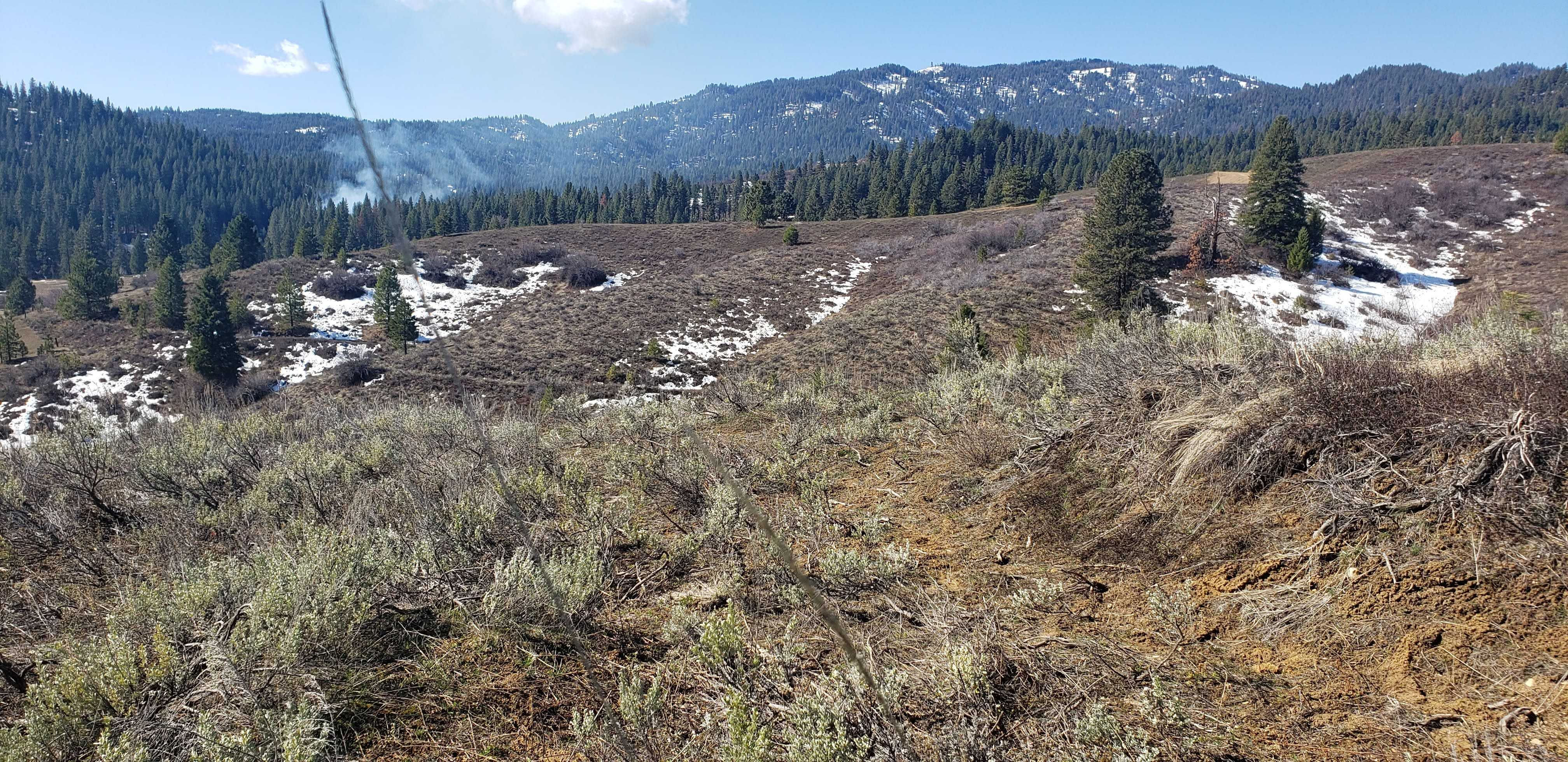Lot 21 Clear Creek Estates #12, Idaho City, ID, 83716 - Thumbnail 3