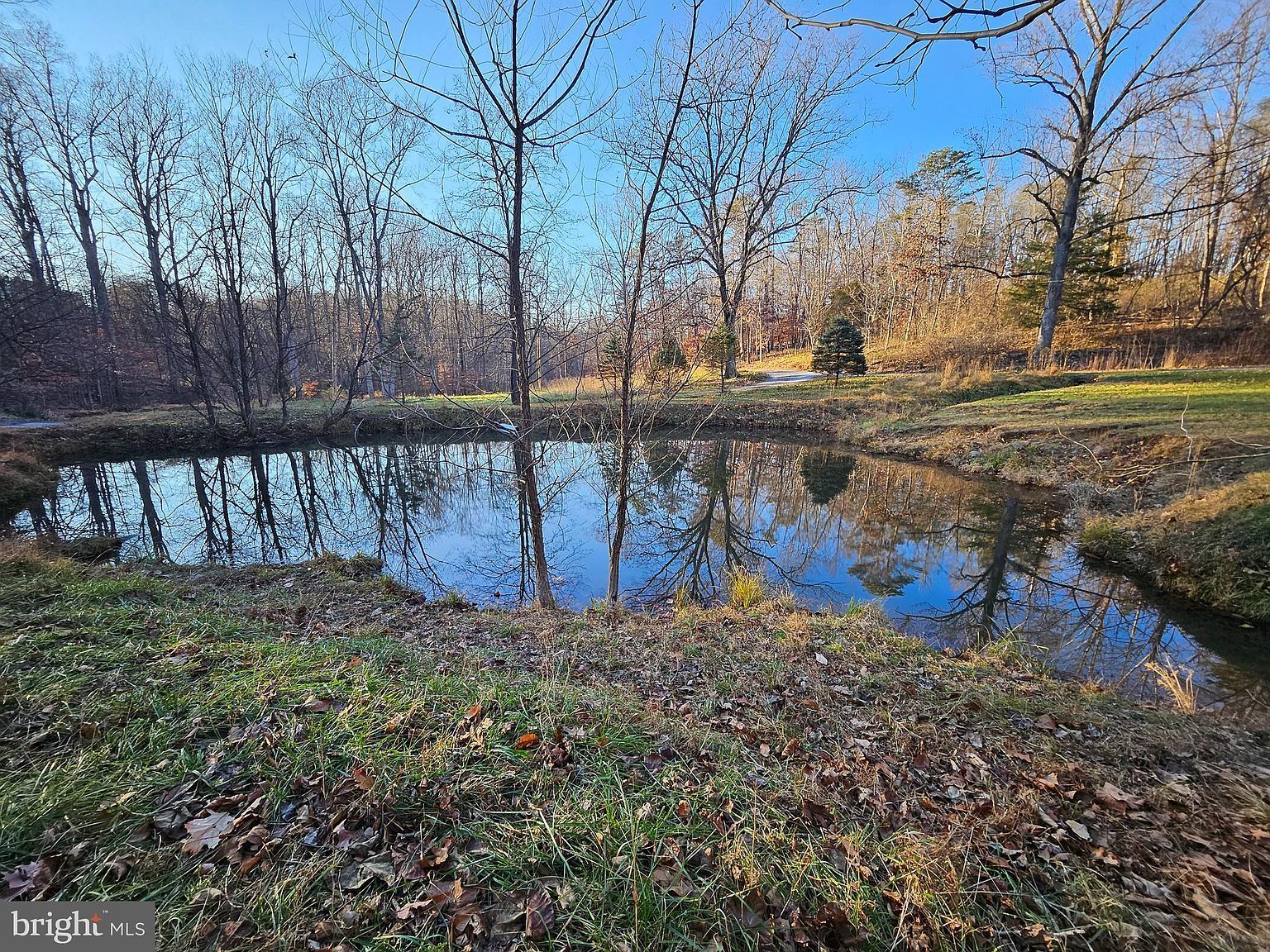 1152 Blue Mountain Rd Front Royal, VA 22630 - Thumbnail 3