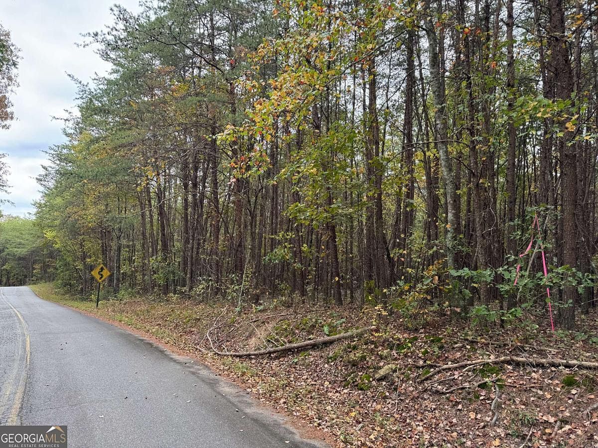 0 Cagle Rd Fairmount, GA 30139 - Thumbnail 3