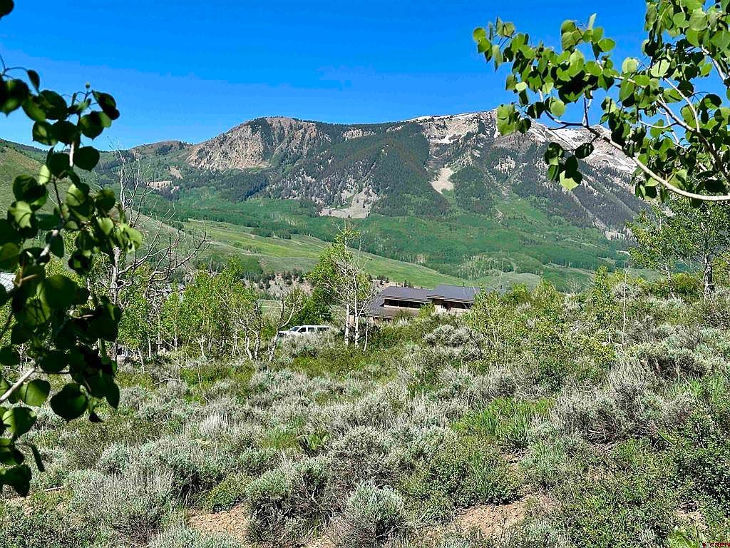 4482 Bryant Ave, Crested Butte, CO, 81224 - Thumbnail 3