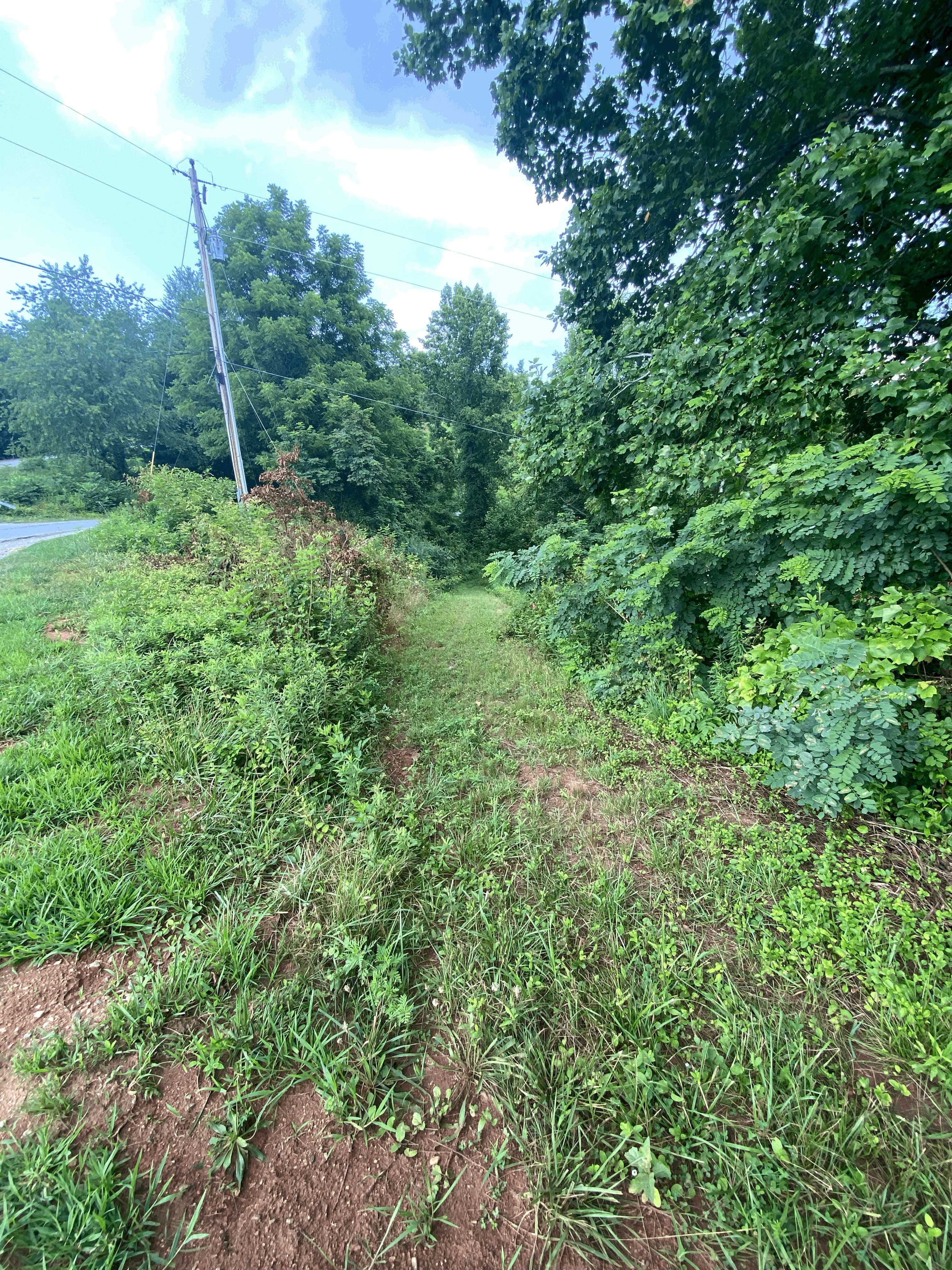 99999 Watsell Drive, Leicester, NC, USA, Leicester, NC, 28748 - Thumbnail 3