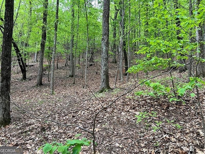 387 Windflower Dr Jasper, GA 30143 - Thumbnail 3