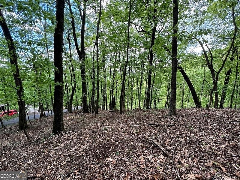 0 Valley View Dr Jasper, GA 30143 - Thumbnail 3