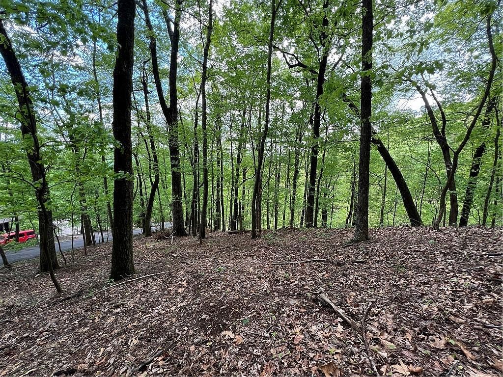 0 Valley View Dr #7081 Jasper, GA 30143 - Thumbnail 3