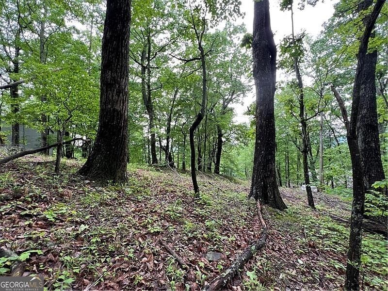 245 Sassafras Mountain Trl Jasper, GA 30143 - Thumbnail 3