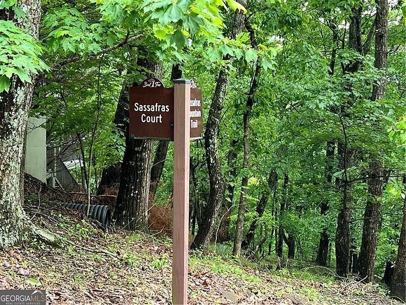 0 Sassafras Ct Jasper, GA 30143 - Thumbnail 3