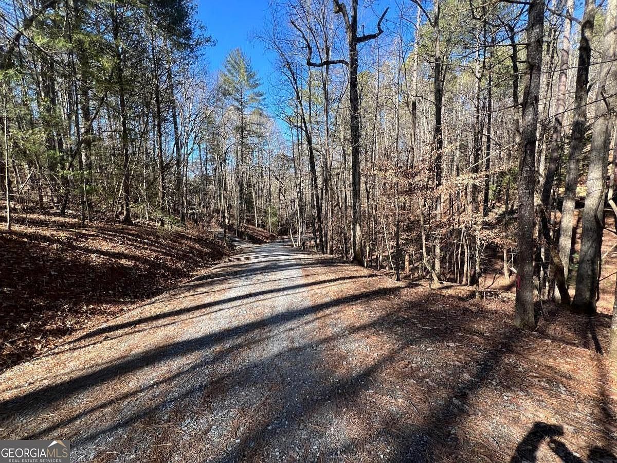 18 Lily Ln Ellijay, GA 30540 - Thumbnail 3