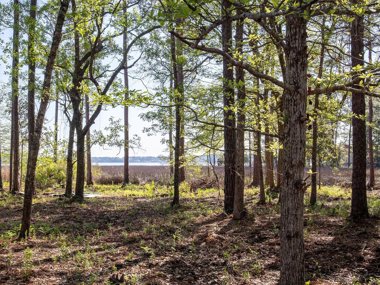 LOT-23B Bayside Dr Freeport, FL 32439 - Thumbnail 3