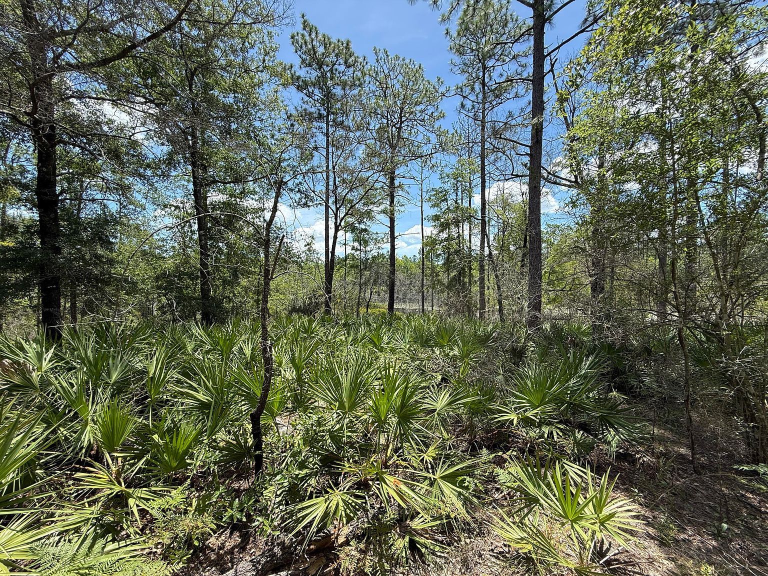 LOT 39 Clearwater Dr Defuniak Springs, FL 32433 - Thumbnail 3