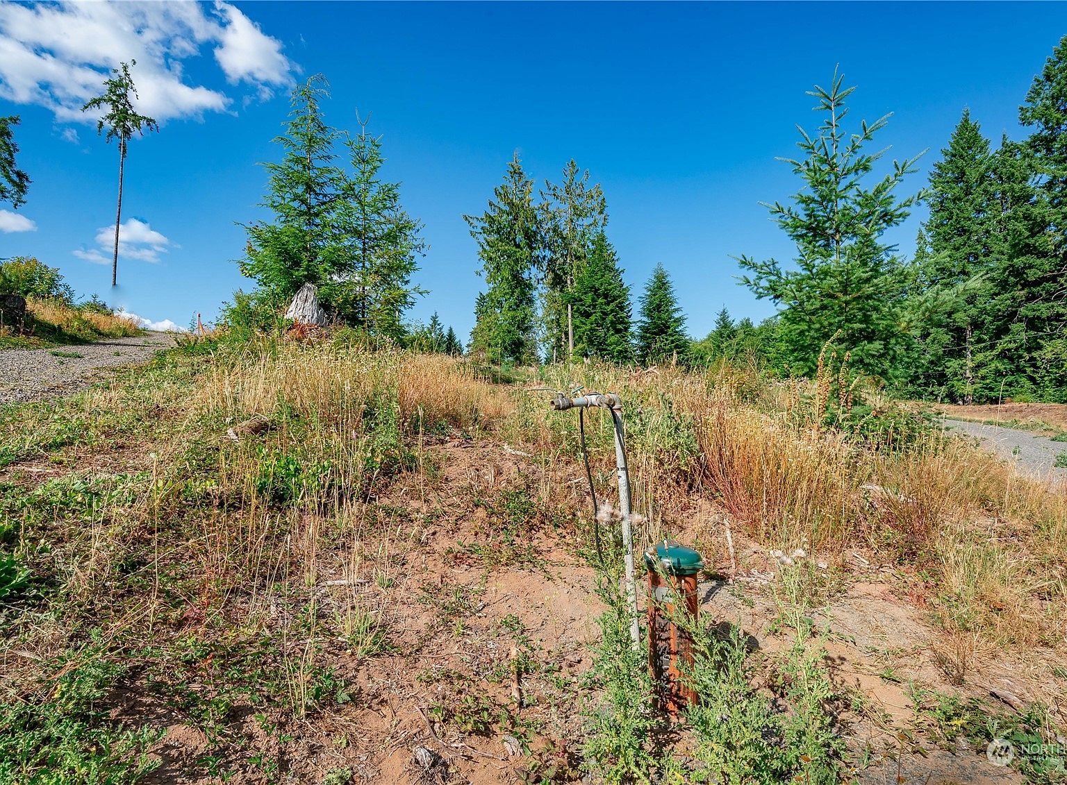 0 S Silver Lake Rd #7 Castle Rock, WA 98611 - Thumbnail 3