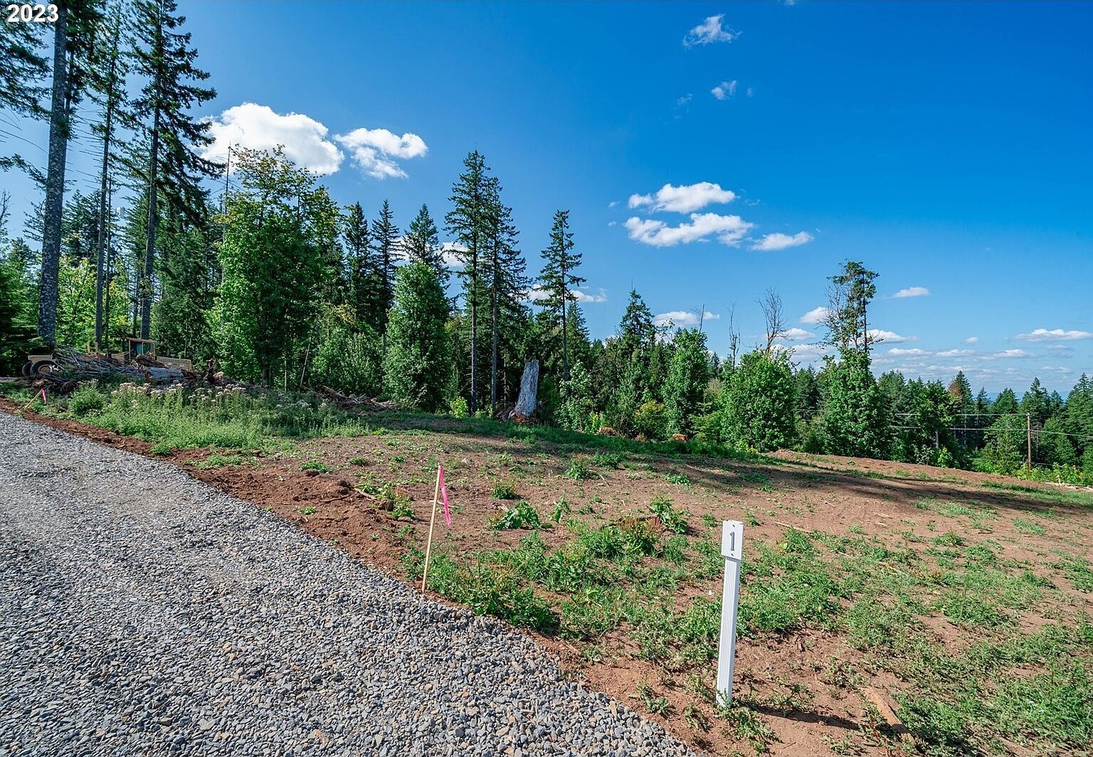 0 Silver Lake Rd UNIT 1 Castle Rock, WA 98611 - Thumbnail 3