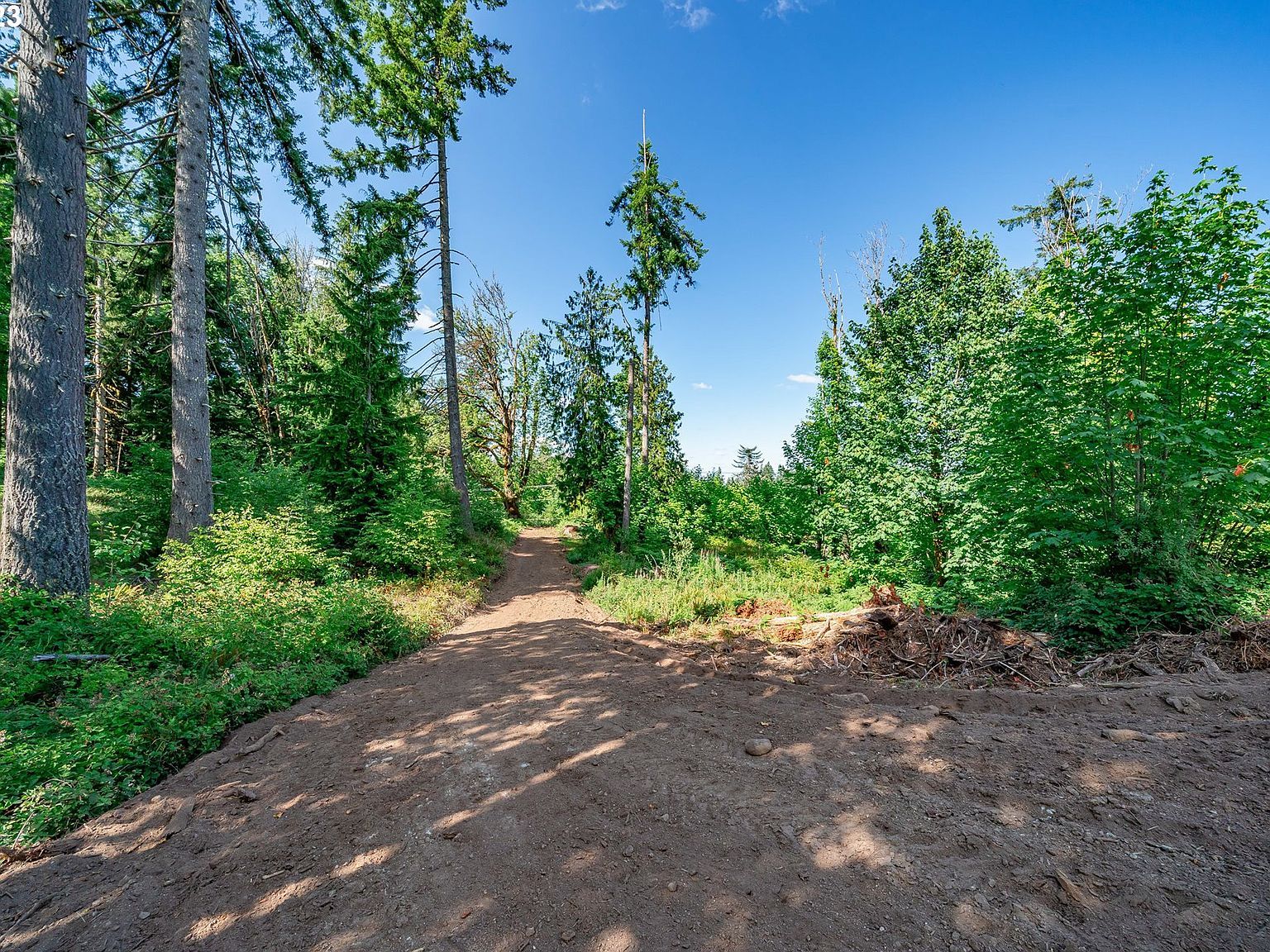 0 S Silver Lake Rd #1 Castle Rock, WA 98611 - Thumbnail 3