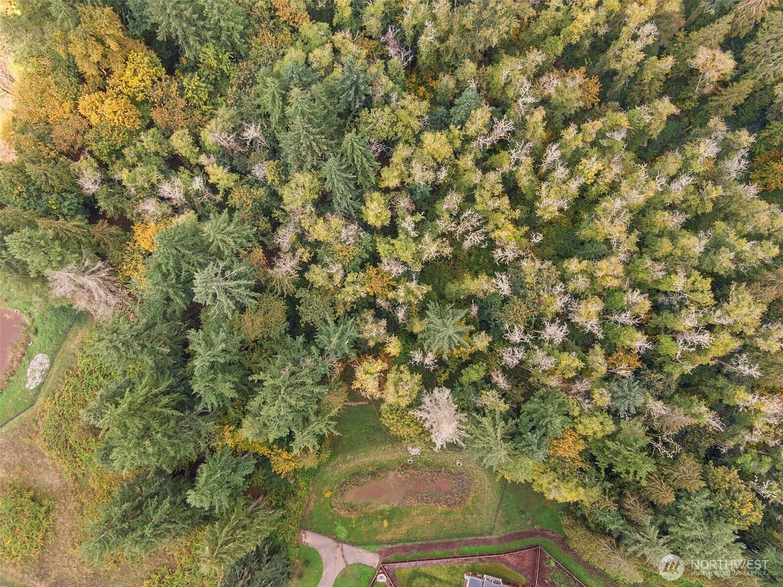 0 S 4th Ave Ridgefield, WA 98642 - Thumbnail 3