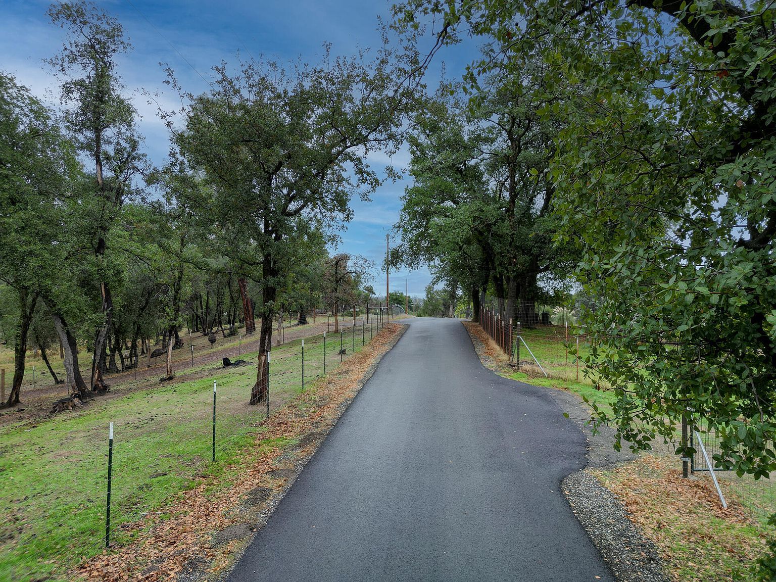 12562 Bender Rd Igo, CA 96047 - Thumbnail 3