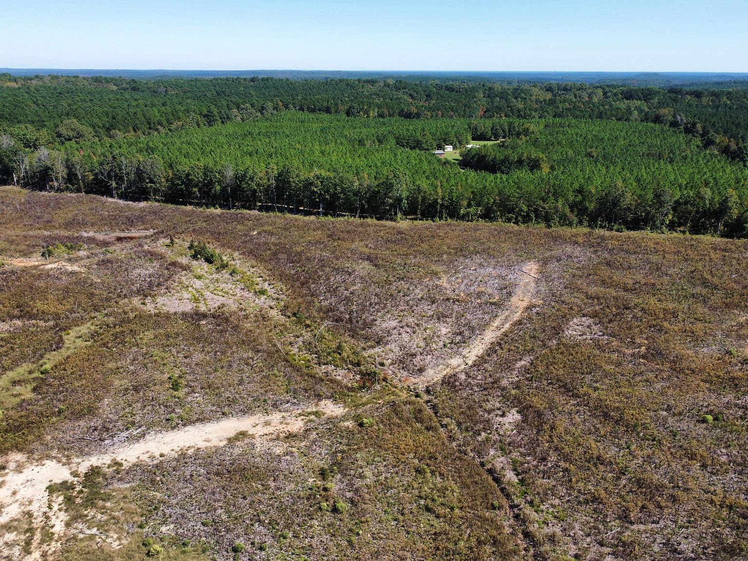 LOT 4 State Highway 790 Ackerman, MS 39735 - Thumbnail 3