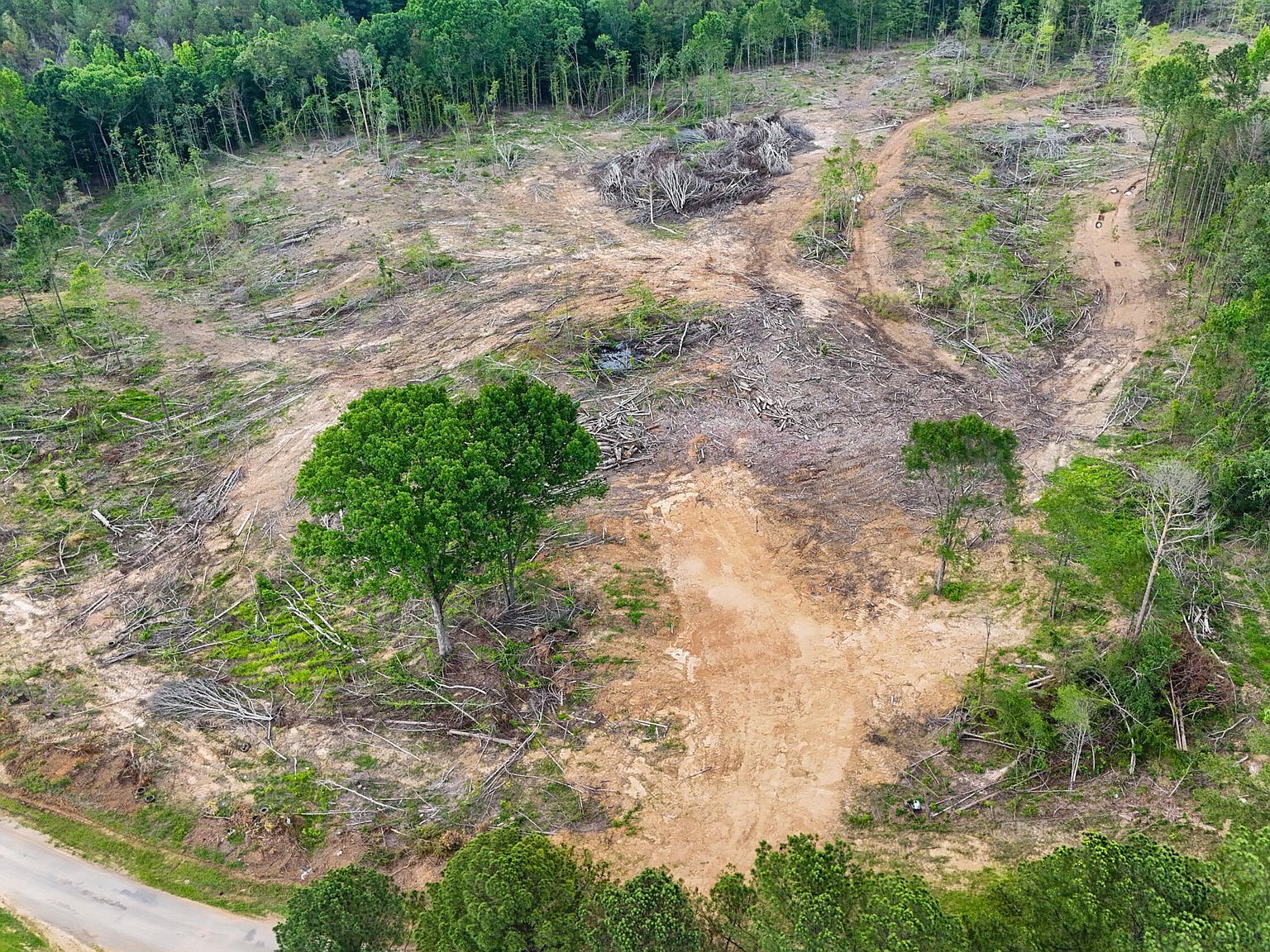 4 Hohenlinden Rd Mantee, MS 39751 - Thumbnail 3