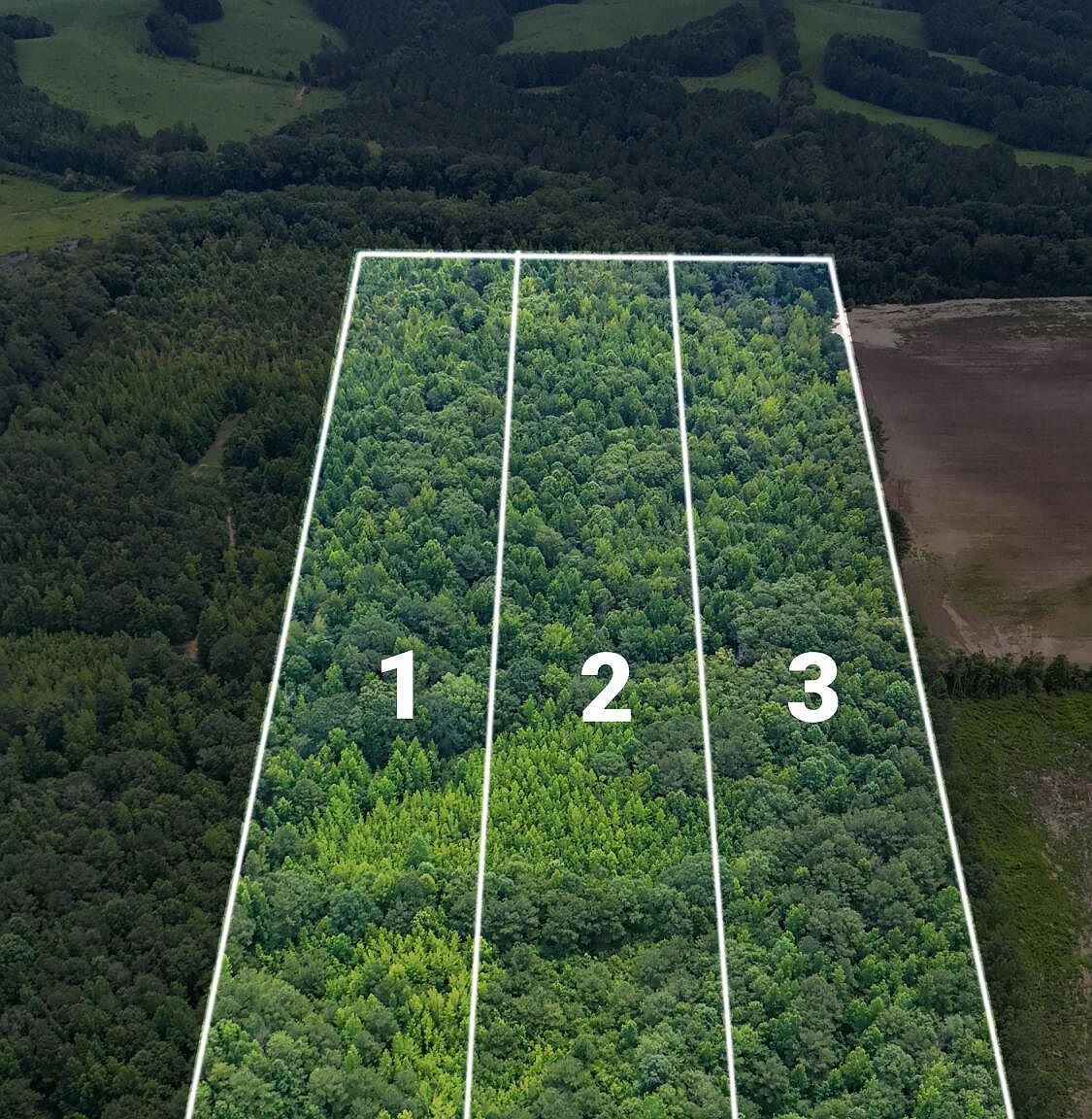 1 Martin Rd NE Golden, MS 38847 - Thumbnail 3