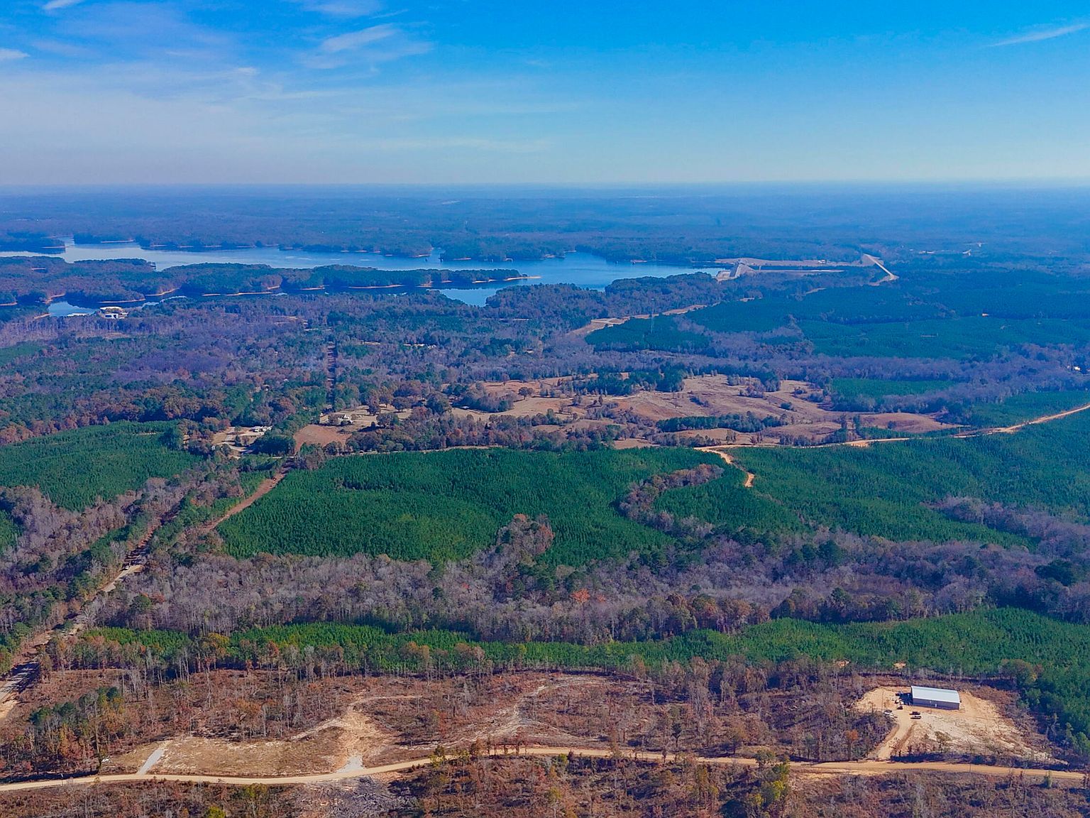 County Road 4251 LOT 7 New Site, MS 38859 - Thumbnail 3